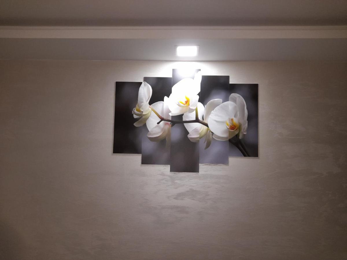 Daca 1 Apartment